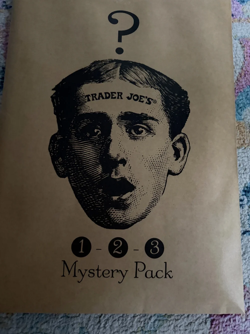 Trader Joe's Mystery Pack Bag - 3 Totes